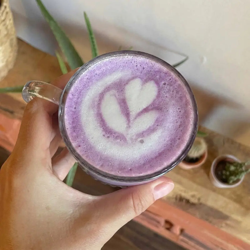 Les bienfaits de l'ube : ce que cette racine violette fait vraiment à ton corps