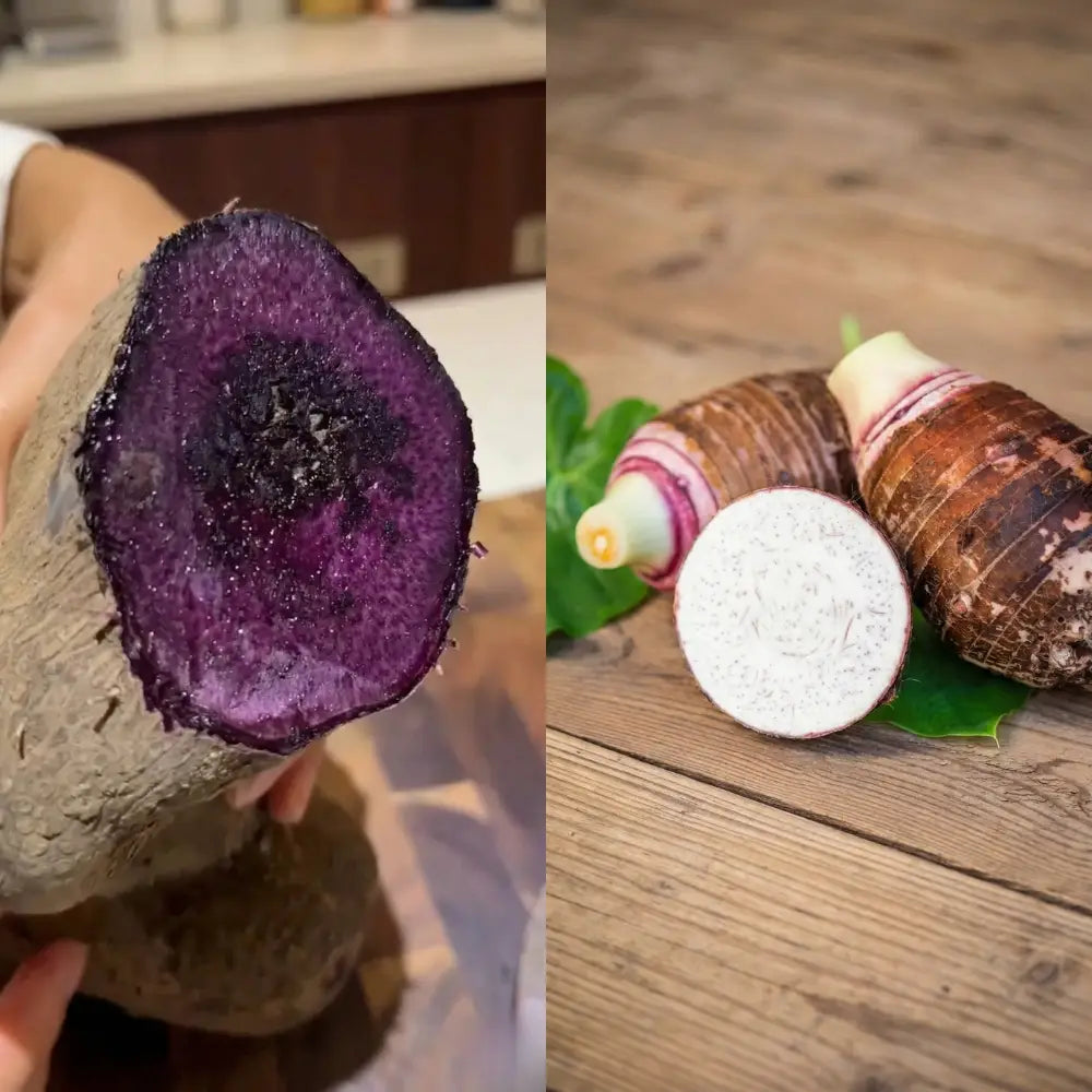 Racine d'ube violette et racine de taro blanche posées côte à côte sur fond clair pour illustrer leur différence